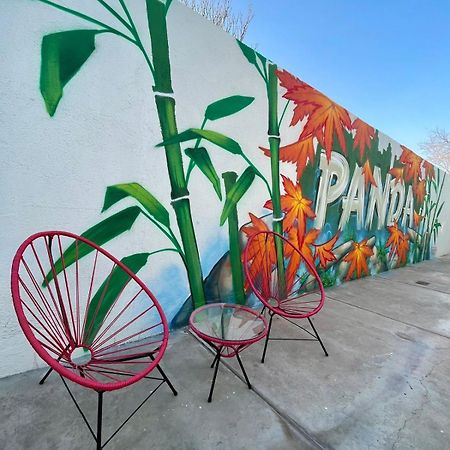 Panda Hostel מנדוזה מראה חיצוני תמונה